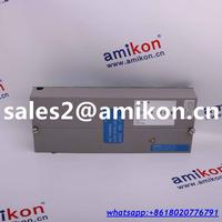 GE PLC IC694ALG223 | sales2@amikon.cn distributor